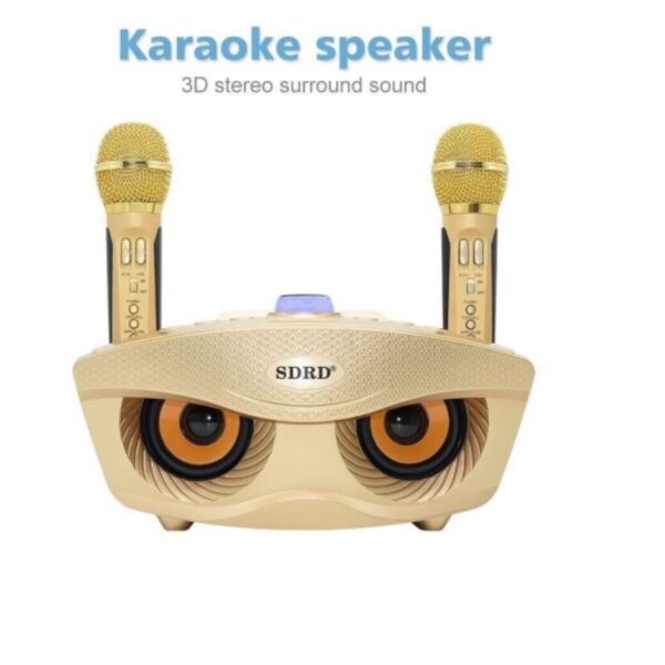 loa-karaoke-sd-306-2-mic