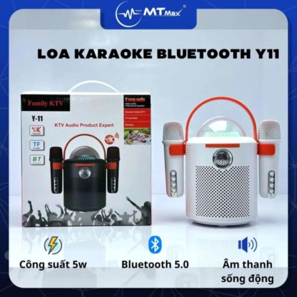 loa-karaoke-bluetooth-y11